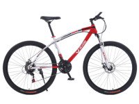 MTB-R1-29